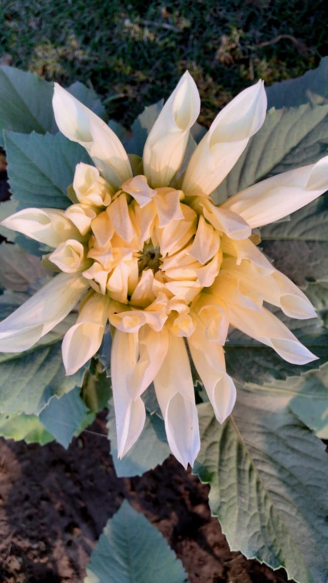 The difference is quality